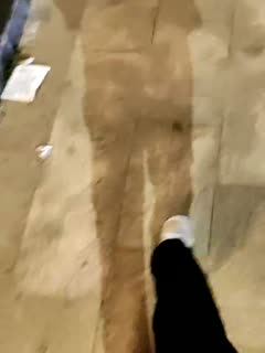 国产精品加勒比,xxnx日本