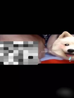 欧亚日韩一区二区不卡视频,欧美成人影院免费